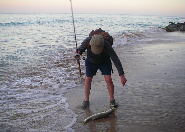 It's on the beach and a bit bigger than Richard's fish.