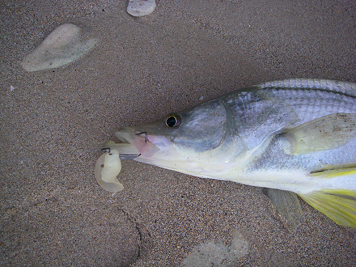 Fished weightless (the scrap of lead on the shank was superfluous) these lures are excellent for twitching just beneath the surface.