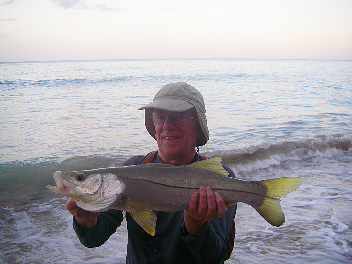 Its always nice to have the fish in hand. They look a bity like brightly coloured bass.