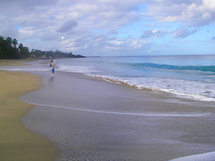 My camera finger was tiring by now.