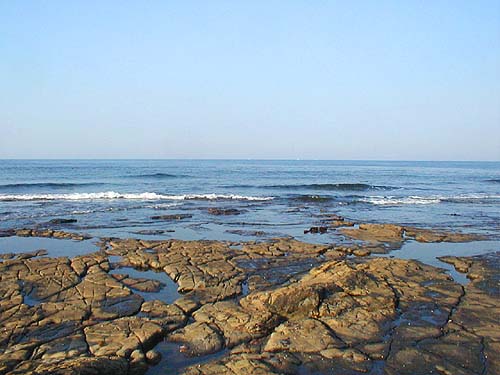 The water was shallow, gin clear and moving swiftly from right to left.