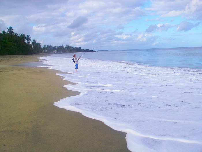 They don't give up easily.