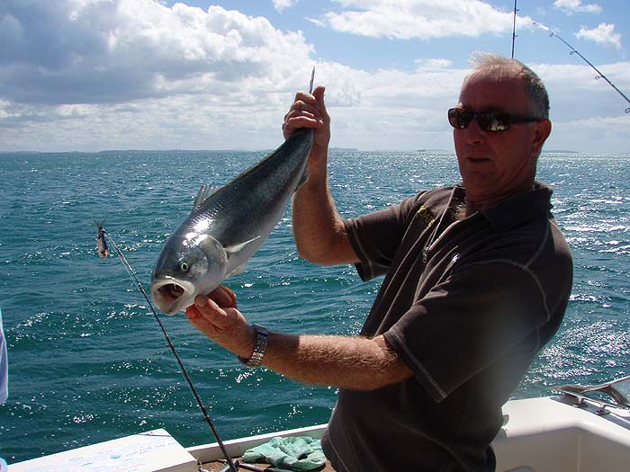 These are wonderful fish and obviously fight like hell. It sounds as though they may also be good kingfish baits.