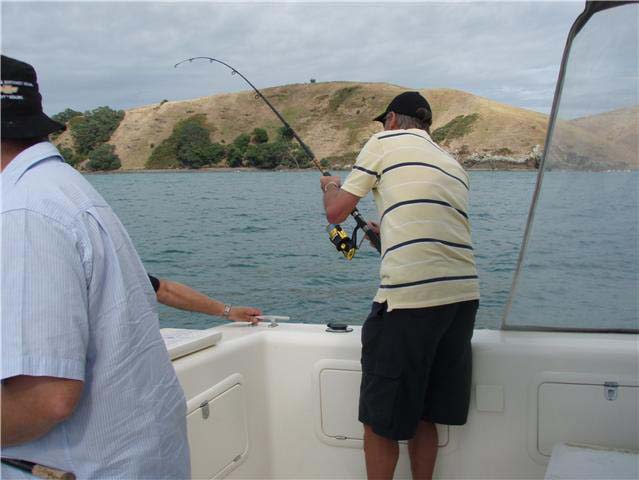 Raymond into a snapper.