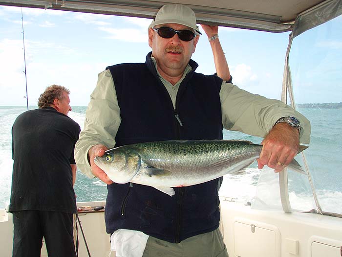 Fantastic streamlined battlers these - another good reason to take a trip down under.