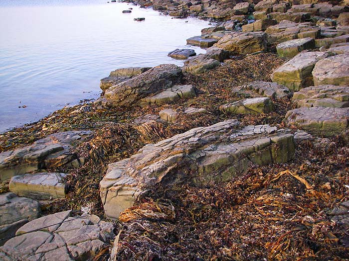 High and dry but just waiting for the next set of big tides to release its cargo of maggots.