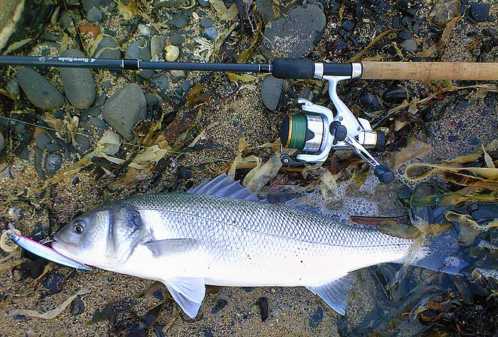 What a way to start the season eh!