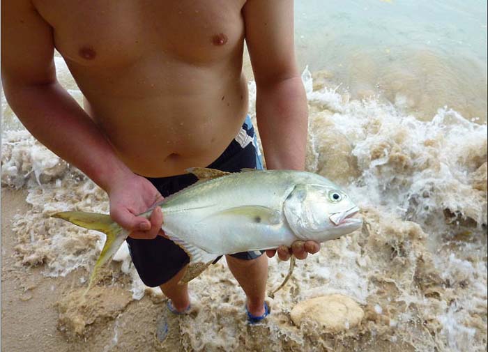 Even one this size will pull like fury. Wonderful fish!