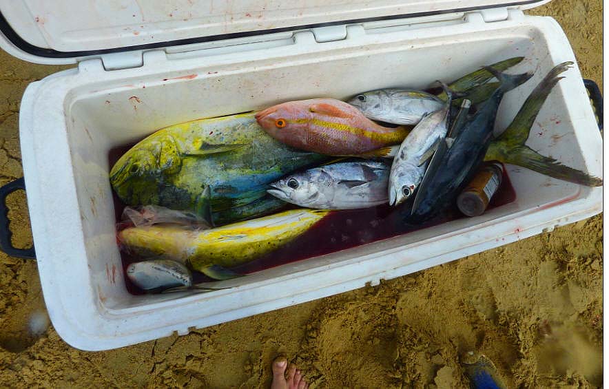 Probably worth all the sore backsides and hard work eh!