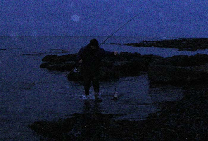 Sorry about the poor picture - Rob's just beaching his bass.