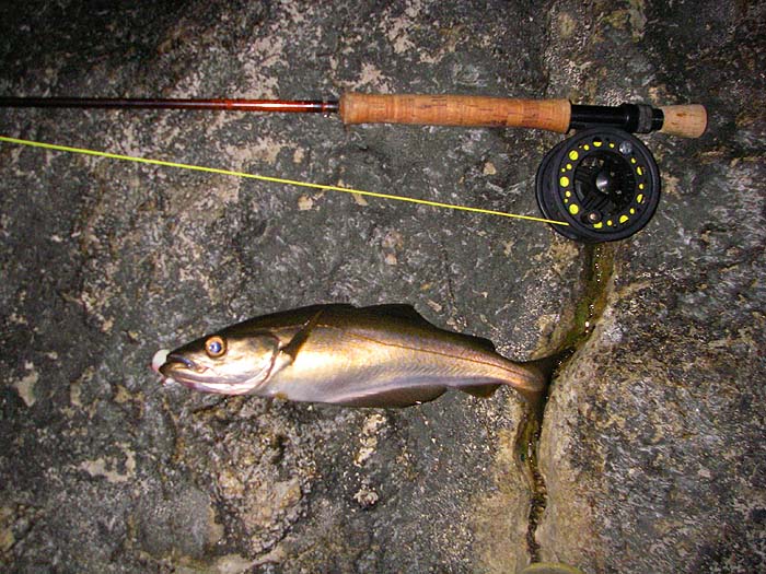 They all look pretty much alike and tend to engulf the fly. The old Okuma reel is still going strong.