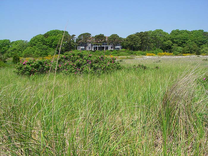 Behind many of the beaches are sand dunes clothed in roses and sea peas.
