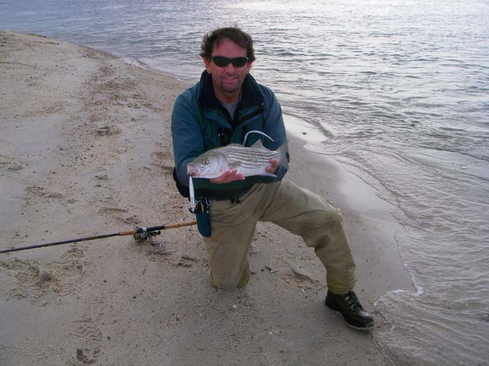 Again no monster but it is what we went for so Steve's pleased with is plug caught striper.