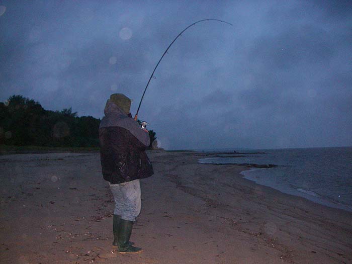 This one took a popper. Alan had several nice fish on Chug Bugs during our stay.