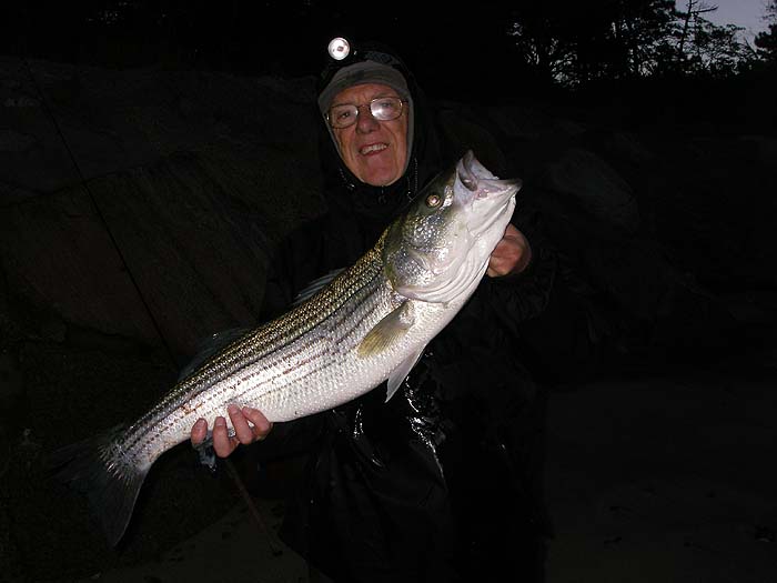 A freelined bluefish fillet on a circle hook took this one from just a few yards out.