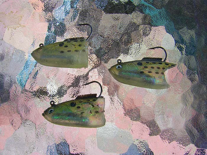 This is what happens to shads when the blues are on the feed.