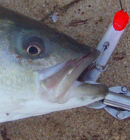 they take poppers and sliders well but there are too many hooks involved.