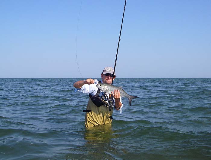 Again on a bright sunny afternoon, Steve had this one on a single hooked metal lure while wading on a sandy flat.