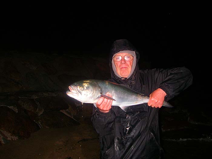 I landed this one (along with lots more) at dead of night.