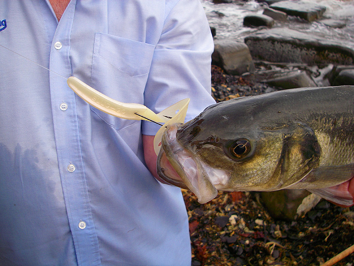 The lure is still serviceable after four bass and quite a few attacks.