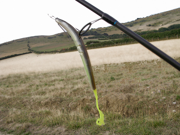 This is Nigel's combination lure. He thinks it's a bit too long in the body.