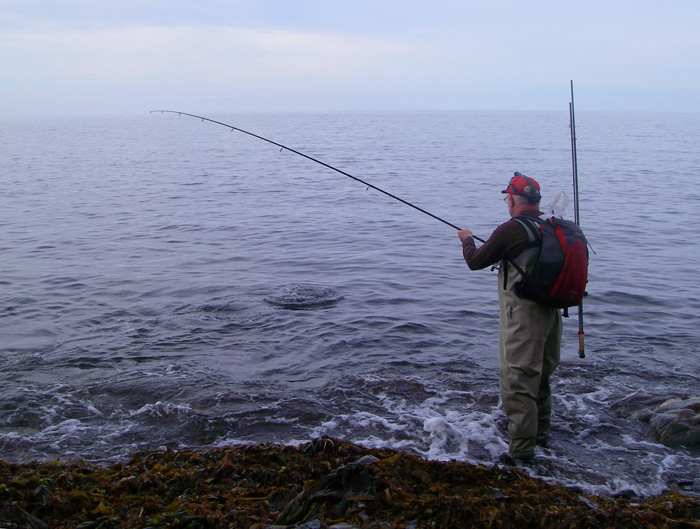 One up for the Texas rig. Nigel's bass put up quite a struggle but it was well hooked.
