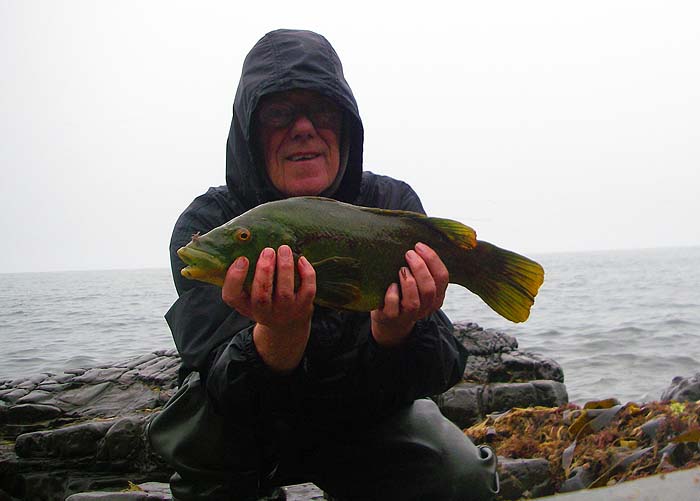 the time delay worked OK but there's too much contrast..