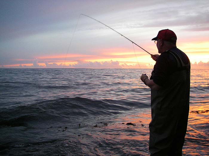 Against the setting sun Nigel's flicking out a tiny white plastic grub on the fly rod. The tactic produced bass and a couple of fine mullet.