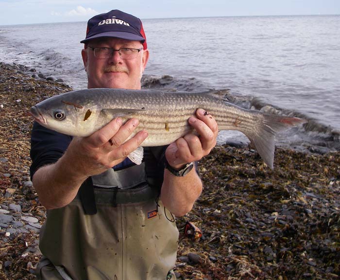A six pounder like this is all you could ever hope for on light fly gear.