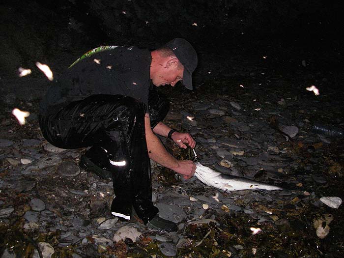 Andy stoops to unhook his first ever bass on a lure.