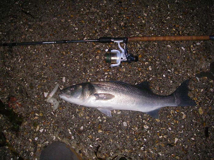 It's amazingly satisfying when you're all alone and you slip that nice bass back to fight another day.