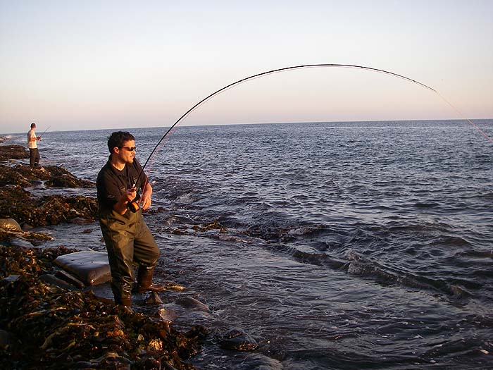 Rob well bent into the larger of his two mullet. It's an experience that you never forget. Andy's spinning in the background.