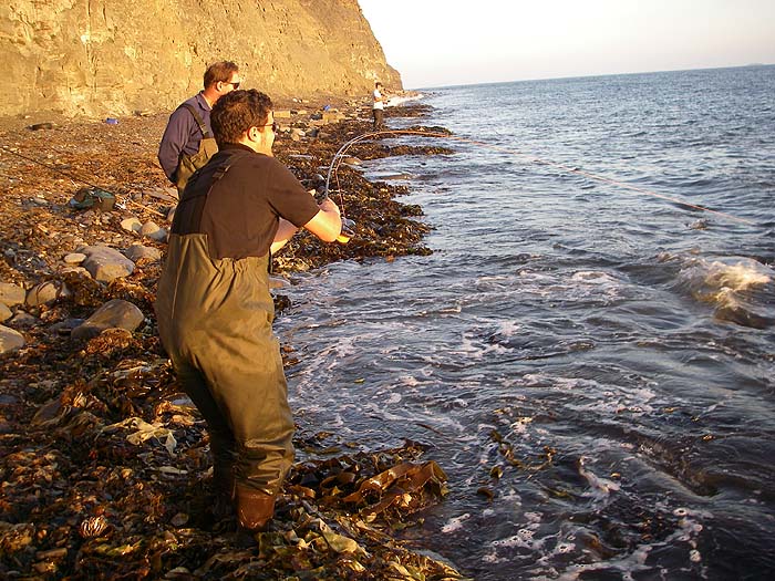 With the rod flexed Rob tries to put pressure on and bring the mullet closer but it's still fighting hard.