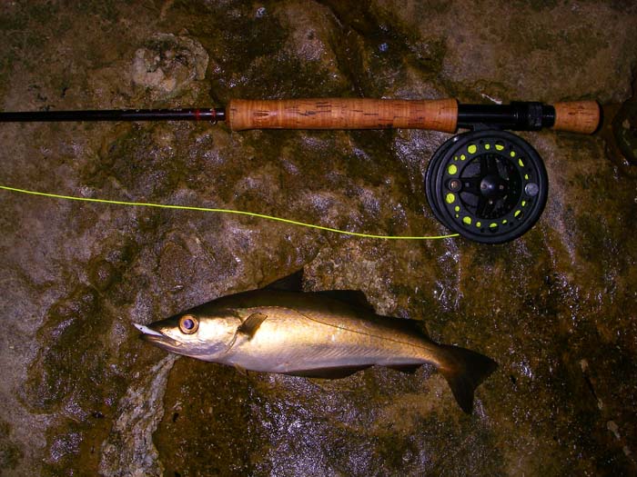 This was my first but not the biggest. For once I had a headlamp so I could focus the camera properly in the gloom.