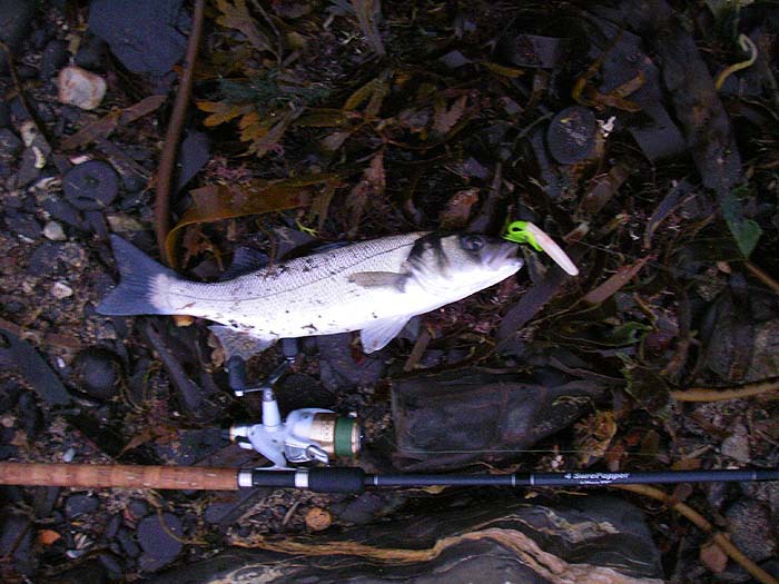 No monster but it wrecked the lure.