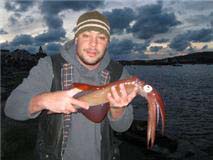 What a fine specimen! (and the squid's not bad either).