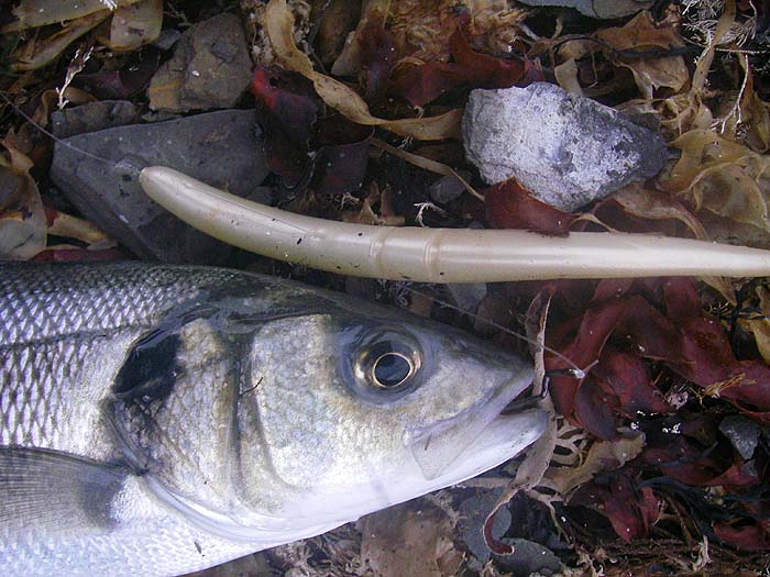 These lures cast well, are weedless and hook fish but need a bit of 'rod work' to give them action.
