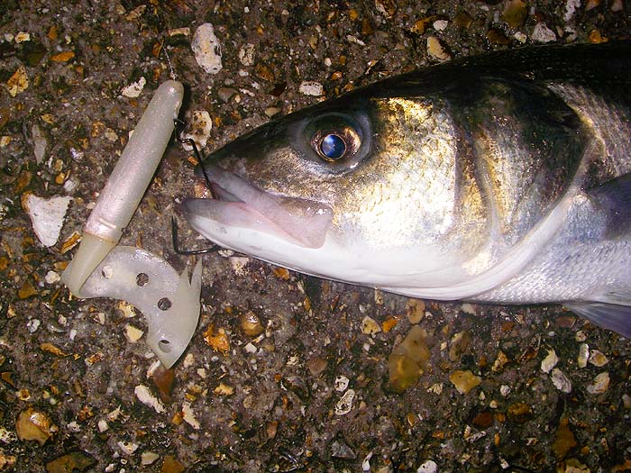 Weedless AND packed with action. The only problem is making yourself wind slow enough.