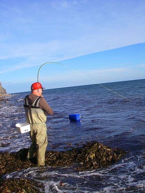Nigel Bevis plays a cracker on the fly gear.