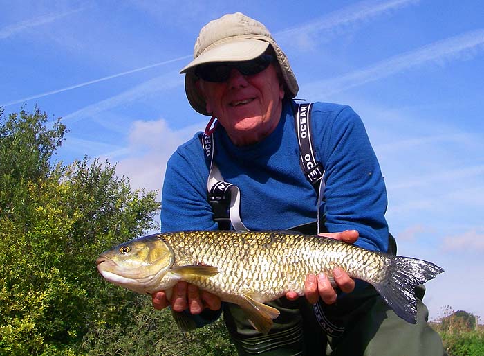 Chub are sluggish creatures but they look good and I really enjoy catching them.