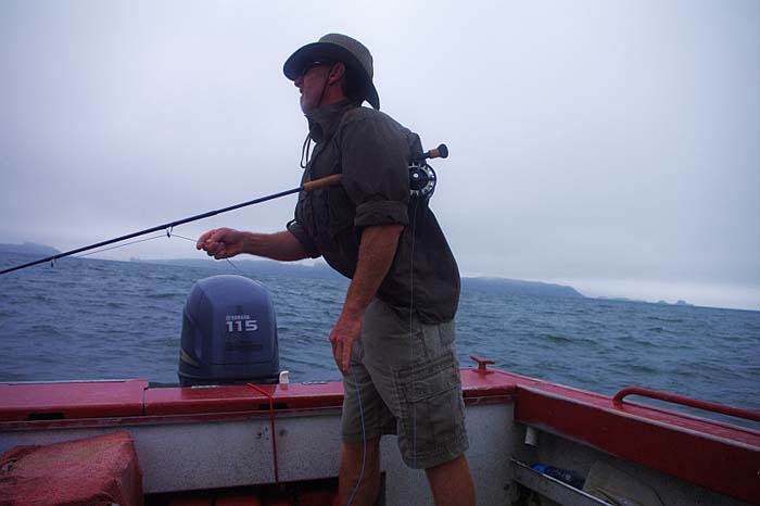 Stripping at pace is obviously a good tactic when you're after kahawai.