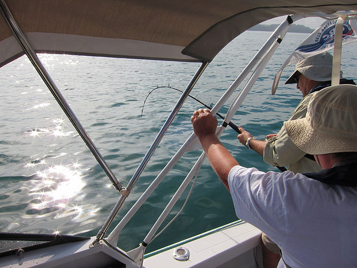 Alan wrestles with the big kingfish. If they are anything like other jacks they're bound to be a handful.