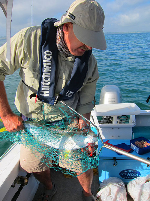 Second prize - a smaller kingfish for Alan.