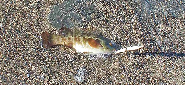 This one saved a blank.