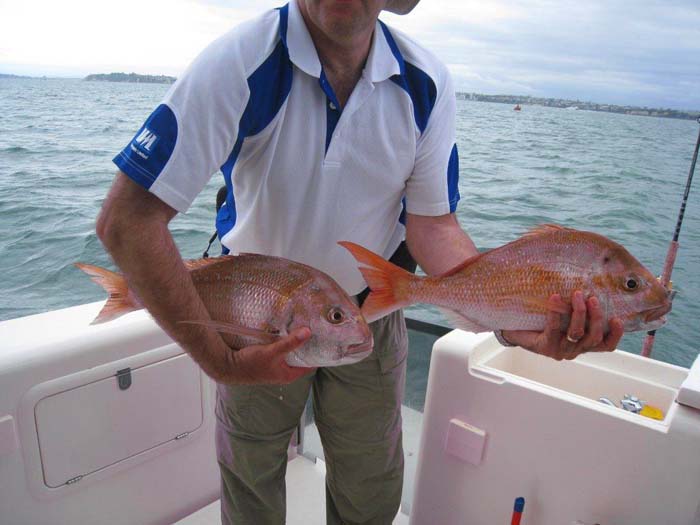 These crackers took the soft plastics.