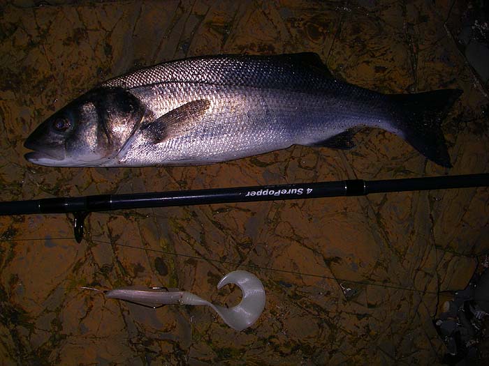 Not much bigger but pleasing all the same and the lure is still usable.