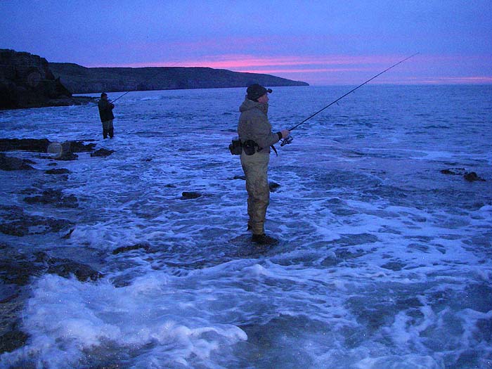 Evening's probably best for pollack but beggars can't be choosers.