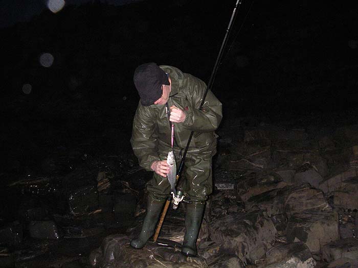 Not much bigger than the plug but a start for his only session this year (he lives in Brazil).