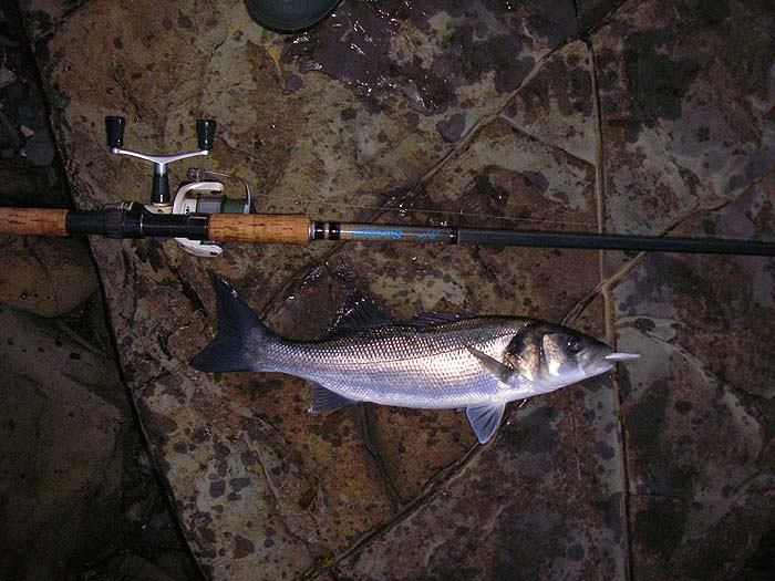 Twice the size of the others and a much better fight.