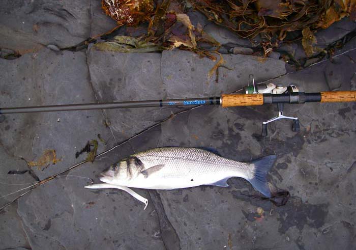 My second fish, lure, rod and reel all more or less in focus - amazing!